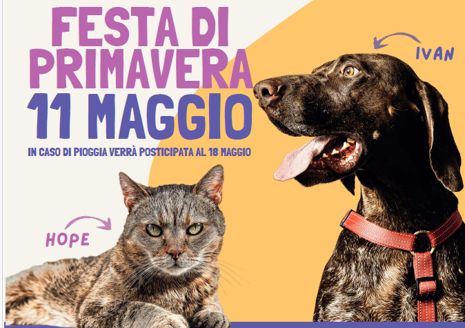 L'iniziativa a cura dell'Asilo del Cane di Palazzolo Milanese e con il patrocinio della Città di Paderno Dugnano.