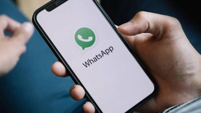 È nato il canale Whatsapp del Comune di Paderno Dugnano 